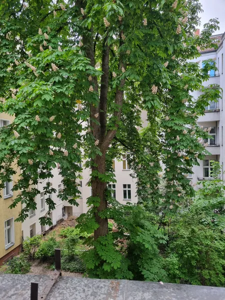 2-Zimmer-Wohnung  in Charlottenburg — photo 1